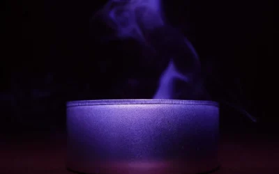 Aromatherapy Wax Warmer Pet Safe Buying Guide for First Time Owners 2026