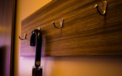 Hooks and Shelf Leash Organizers for Small Apartments: 10 Picks 2026