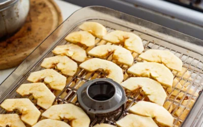 Sliced apples arranged on a tray in a dehydrator for homemade fruit snacks.