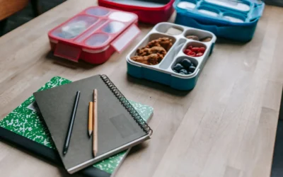 Best Collapsible Meal Prep Containers for Small Apartments 2026