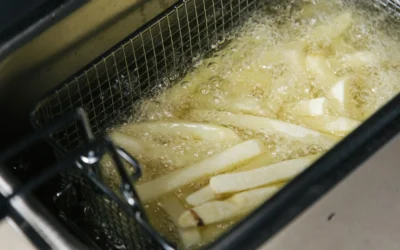 Best Orthopedic Air Fryer Under $30: Compact Picks for 2026