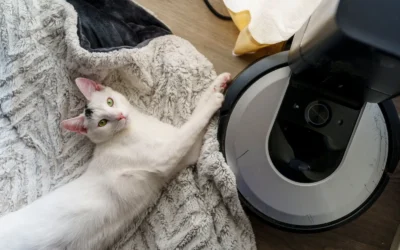 Best Pet Hair Vacuum for Small Apartments in 2026: Space-Saving Picks That Actually Work