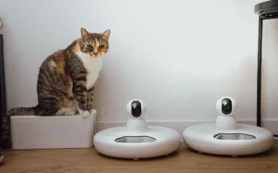 Best Washable Automatic Pet Feeder for Small Dogs: 8 Picks 2026