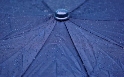 Best Waterproof Pet Hair Vacuum 2026: Wet Dry Picks for Muddy Paws