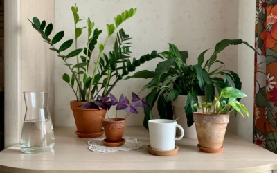 6 Compact Air Purifier Alternatives for Small Apartments With Pets 2026
