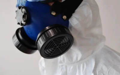 6 Carbon Filter Air Purifier Alternatives for Pet Odor for New Owners 2026