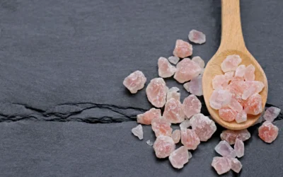 Himalayan Salt Lamp vs Scented Wax Melts: Pet Safe Home Scent Guide 2026
