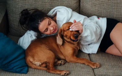 How to Remove Pet Hair From a Couch Without a Vacuum: 6 Simple Methods 2026