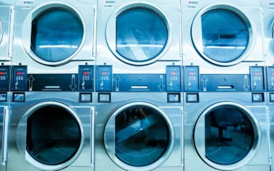How to Wash a Dog Bed That Does Not Fit in the Machine: 2026 Guide