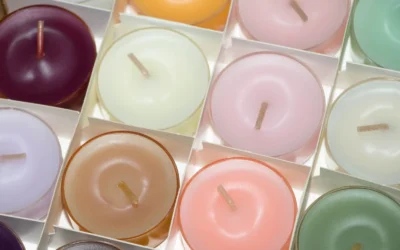 Pet House Scented Wax Melts Review: Pet Safe Vanilla Scents for 2026