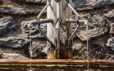 Stainless Steel Cat Water Fountain Alternatives for Renters in 2026