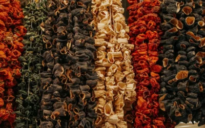 Top Food Dehydrators for Dog Treats and Jerky 2026